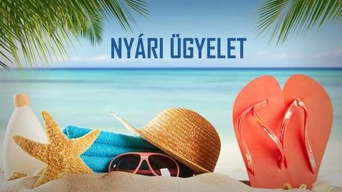 Nyári ügyelet, javítóvizsga